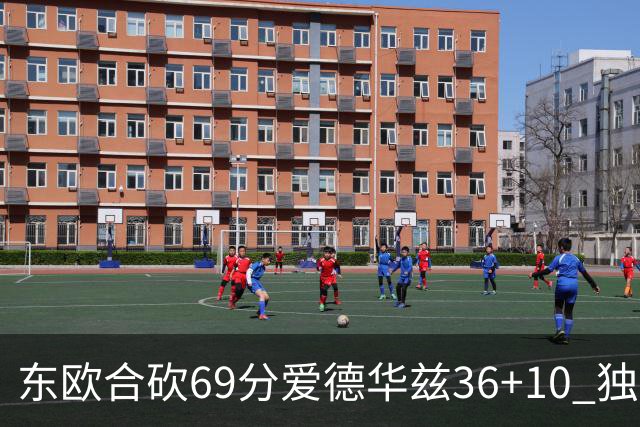 东欧合砍69分爱德华兹36+10 独行侠力克森林狼