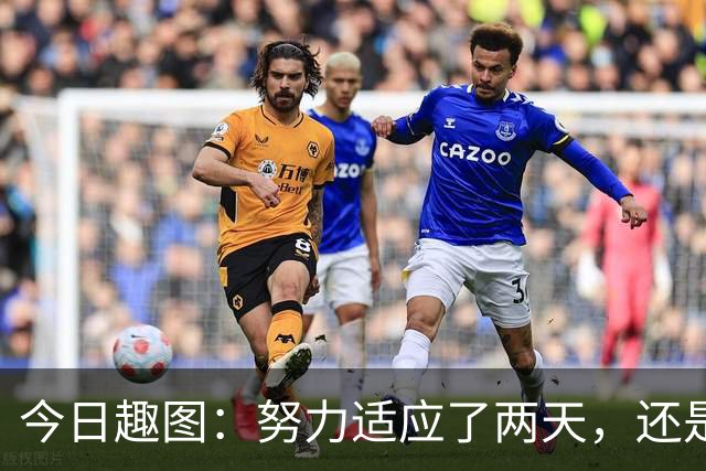 今日趣图：努力适应了两天，还是适应不了补水时间放广告……