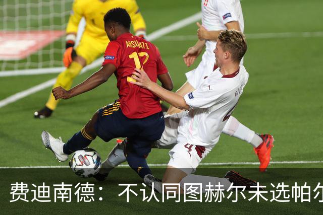 费迪南德：不认同图赫尔未选帕尔默的决定，后者在大赛证明过自己